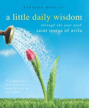 Book cover of A Little Daily Wisdom: Through the Year with Saint Teresa of Avila