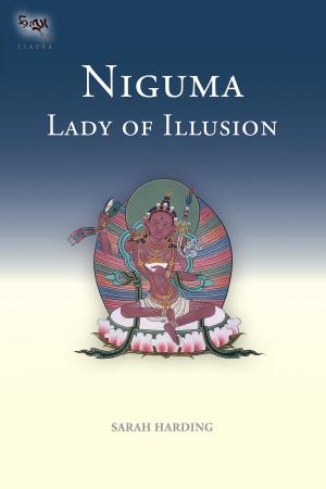 Cover of the book Niguma, Lady of Illusion by Jennifer Ward