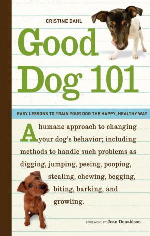 Cover of the book Good Dog 101 by Debra Jarvis