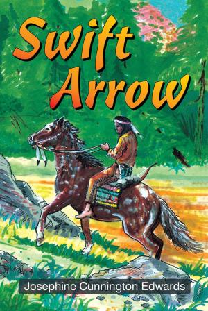Cover of the book Swift Arrow by Jean M. Anderson