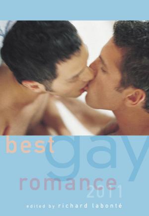 Cover of the book Best Gay Romance 2011 by Stephanie Brill, Rachel Pepper