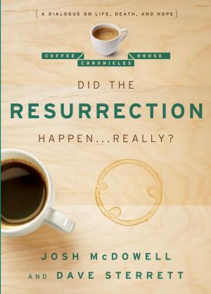 bigCover of the book Did the Resurrection Happen . . . Really? by 