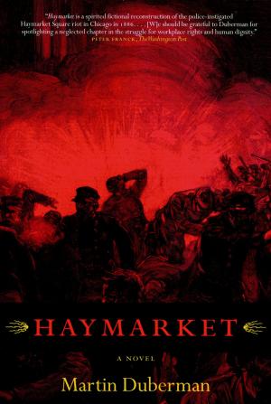 Cover of the book Haymarket by Noam Chomksy, Laray Polk
