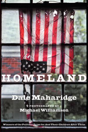 Cover of the book Homeland by Bruce Ackerman
