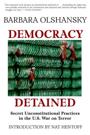 Cover of the book Democracy Detained by Shere Hite