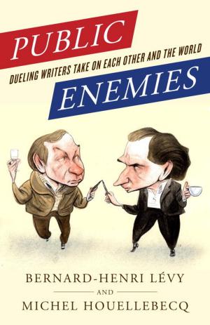 Cover of the book Public Enemies by Robin and the Honey Badger