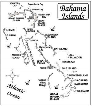 Cover of Best Dives of the Bahamas, Bermuda & the Florida Keys