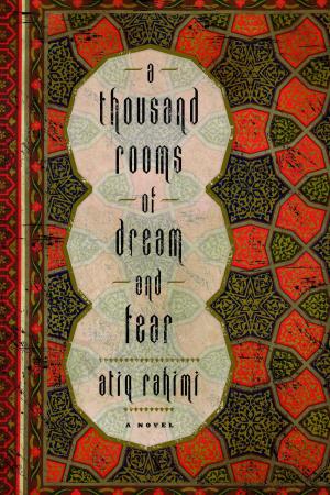 Cover of the book A Thousand Rooms of Dream and Fear by Jenny Rogneby