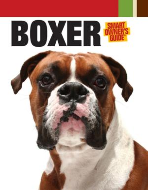 Cover of the book Boxer by Paul Rowlands