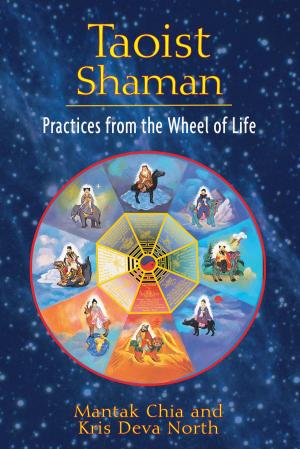 Book cover of Taoist Shaman