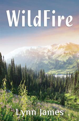 Cover of the book Wildfire by Maggie Brown