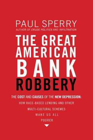Cover of the book The Great American Bank Robbery by Ted Dekker