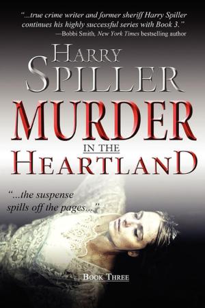 Cover of the book Murder in the Heartland: Book Three by M.D. Daniel J. Brugioni, Jeff Falkel, Ph.D., P.T.