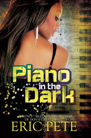 Cover of the book Piano in the Dark by Brenda Hampton
