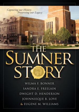 Cover of the book The Sumner Story by Joanne Stanton, Christine O’Donnell