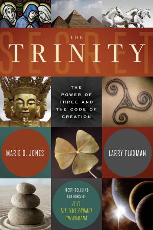 Book cover of The Trinity Secret