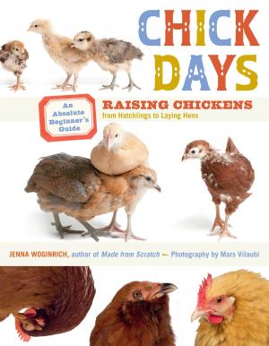 Cover of the book Chick Days by Hugh Piggott