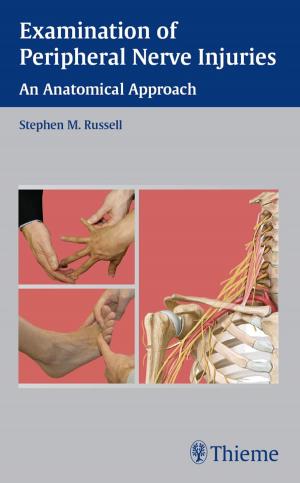 Cover of the book Examination of Peripheral Nerve Injuries by Axel Bumann, Ulrich Lotzmann