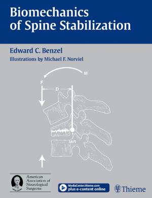 Cover of the book Biomechanics of Spine Stabilization by Rainer Schmitt, Ulrich Lanz