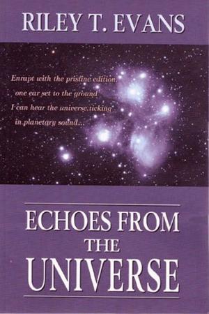 bigCover of the book Echoes from the Universe by 