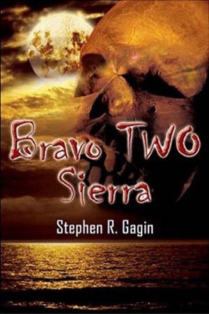 Cover of the book Bravo TWO Sierra by Monica James