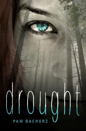 Cover of the book Drought by Jennifer Boothroyd