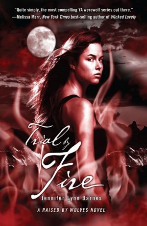 Cover of the book Trial by Fire by Bree Despain