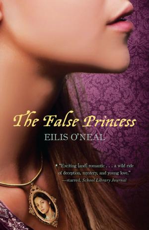 Cover of the book The False Princess by Jamie Kiffel-Alcheh