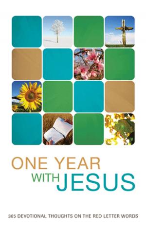 Cover of the book One Year with Jesus: 365 Devotional Thoughts on the Red Letter Words by Mary Connealy, Cathy Marie Hake, Tracie Peterson, Kathleen Y'Barbo