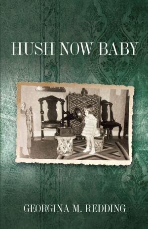 Cover of Hush Now Baby