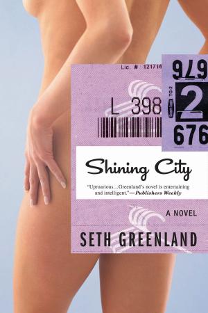 Cover of the book Shining City by Tracey Maciver