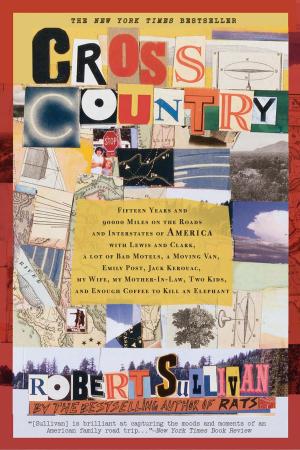 Cover of the book Cross Country by Jennifer K. Stuller