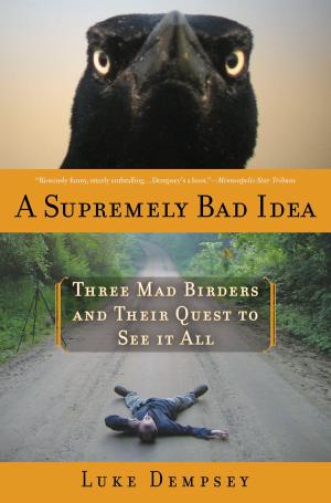 Cover of the book A Supremely Bad Idea by Sarah L. Thomson