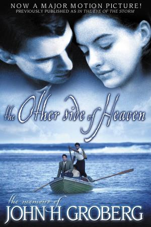 Cover of the book The Other Side of Heaven by Steven Richheimer, PhD