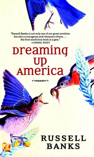 Cover of the book Dreaming Up America by Paul Krassner, Lewis Black