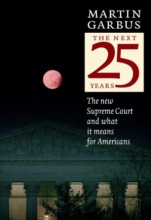 Book cover of The Next 25 Years