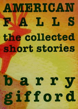 Cover of the book American Falls by Michael Deibert, Ti Goave