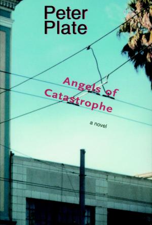 Cover of the book Angels of Catastrophe by Gregory D. Sumner