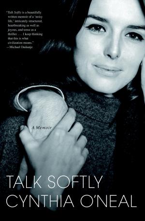 Cover of the book Talk Softly by Ivana Bodrozic