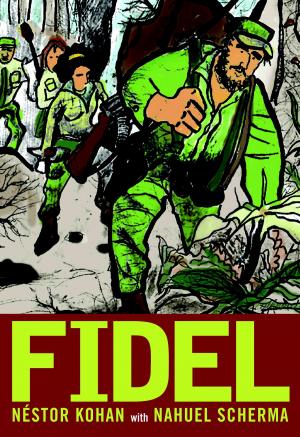 Cover of the book Fidel by Amnesty International