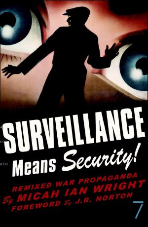 Cover of the book Surveillance Means Security by Christina M. Grey