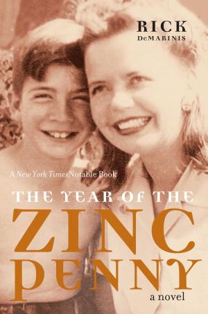 Cover of the book The Year of the Zinc Penny by Nelson Algren