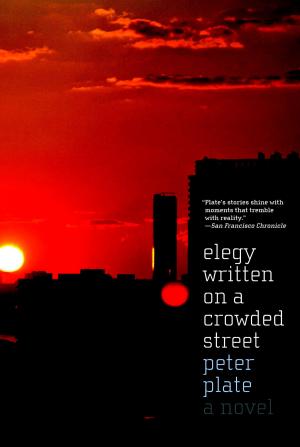 Book cover of Elegy Written on a Crowded Street