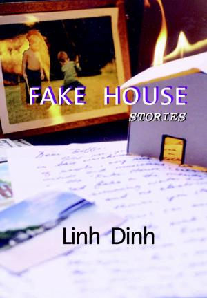 Book cover of Fake House