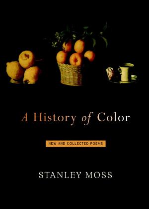 Cover of the book A History of Color by Meryl Danziger