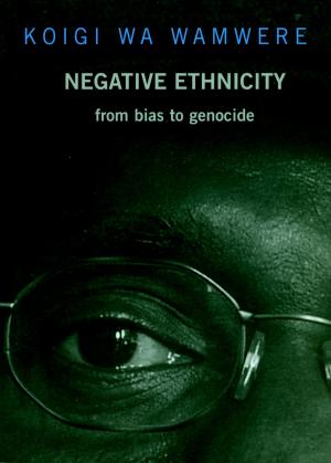 bigCover of the book Negative Ethnicity by 