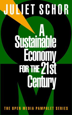 bigCover of the book A Sustainable Economy for the 21st Century by 