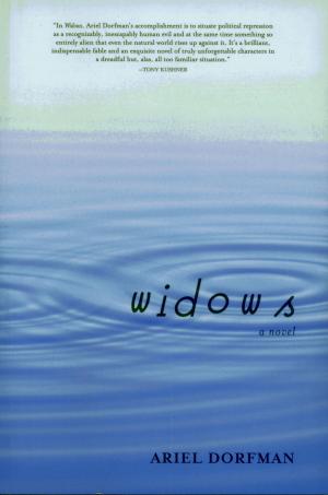 Cover of the book Widows by Zapatistas