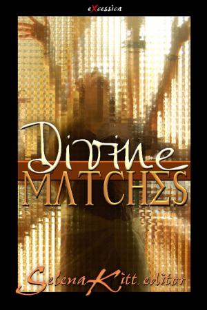 Cover of the book Divine Matches by Candace Blevins