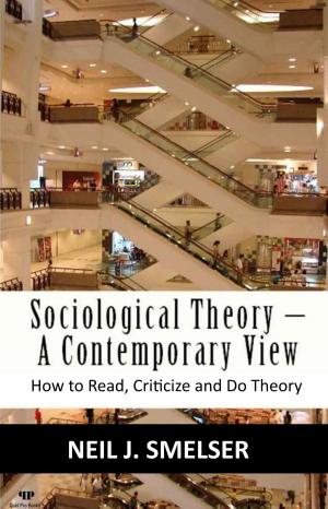 Cover of Sociological Theory: A Contemporary View: How to Read, Criticize and Do Theory